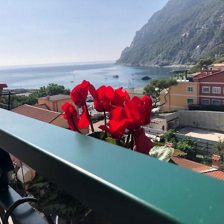 Il Sogno Di Contardi A Affittacamere Monterosso al Mare Zewnętrze zdjęcie